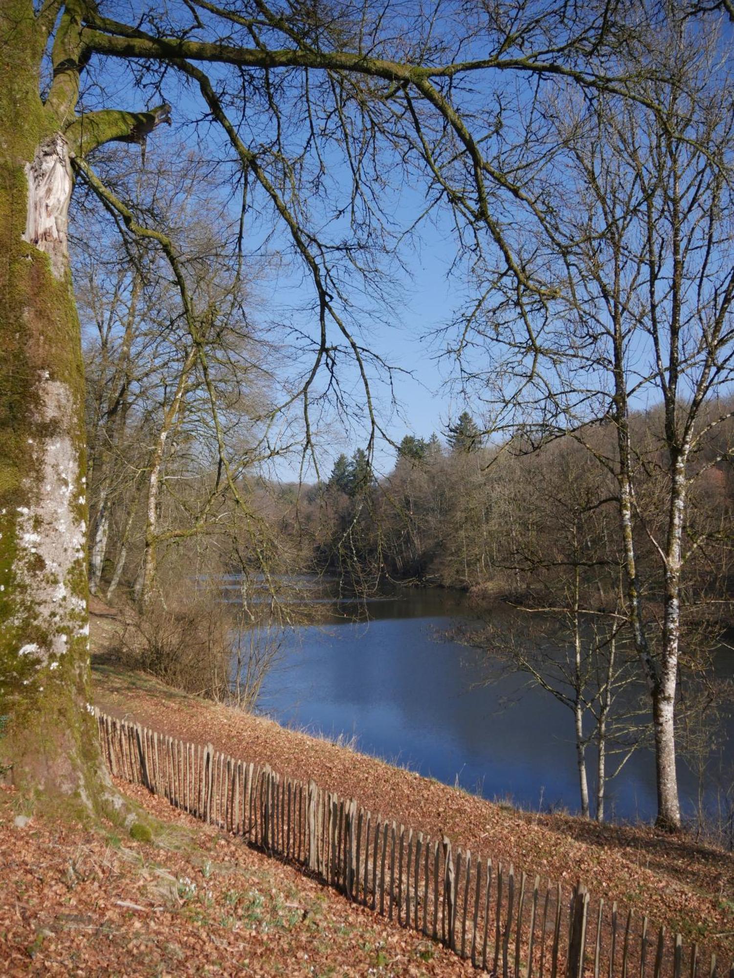 Habay-la-Neuve Chateau Du Pont D'Oye المظهر الخارجي الصورة